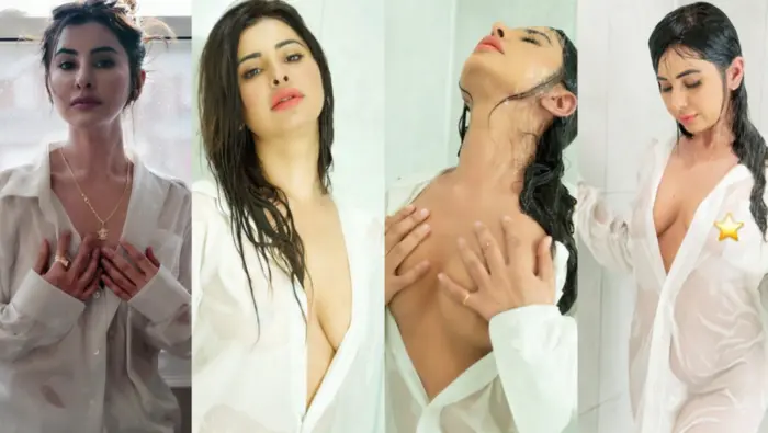 Punjabi Cute Girl Meetii Kalher 5 BG BBC Sextapes